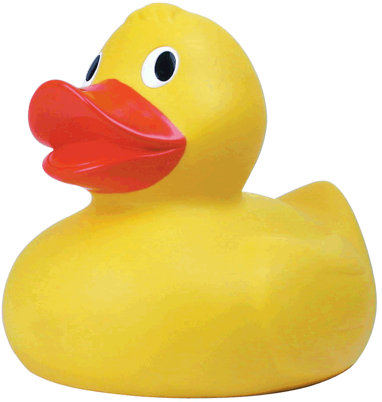 and this is a duck